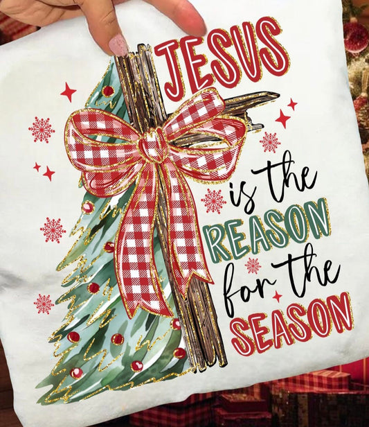 Jesus is the Reason T-Shirt